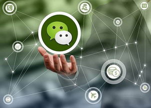 上海微信自動營銷軟件制造廠家 軟件銷售的全方位解析